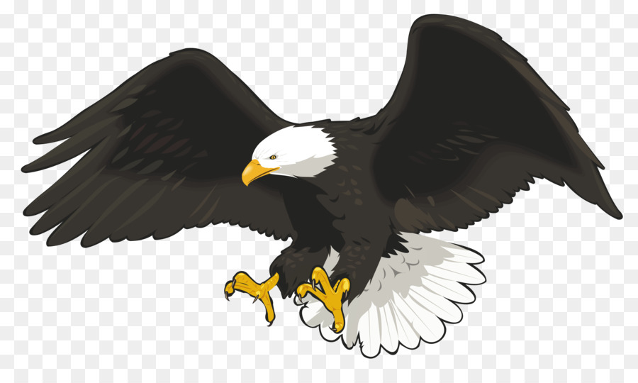eagle clipart transparent background
