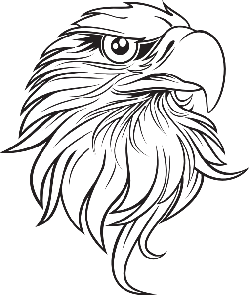 Eagle vector png. Black and white cartoon