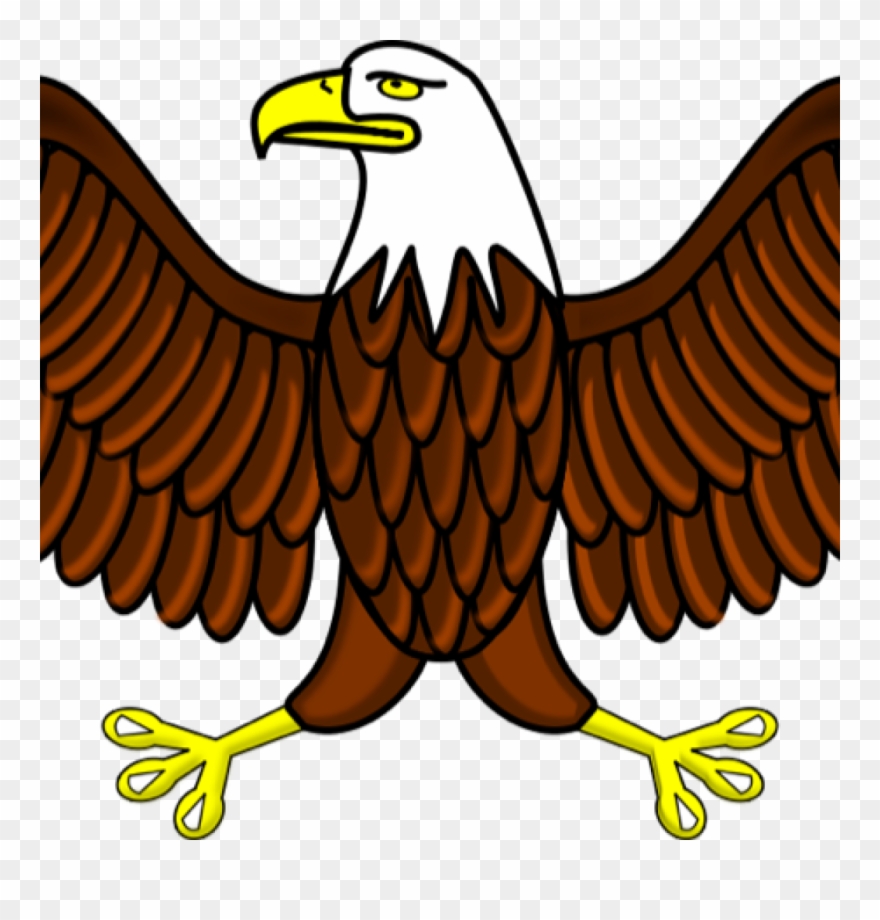 Eagle images clip art. Eagles clipart aguila