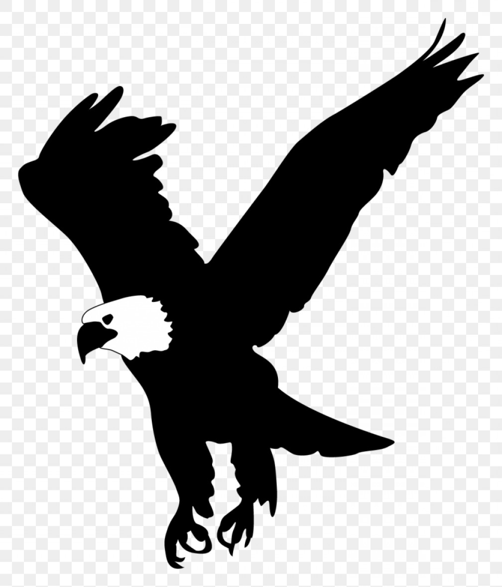 Eagles clipart air animal. Eagle clip art cardinal