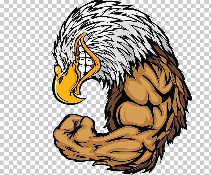 eagles clipart angry