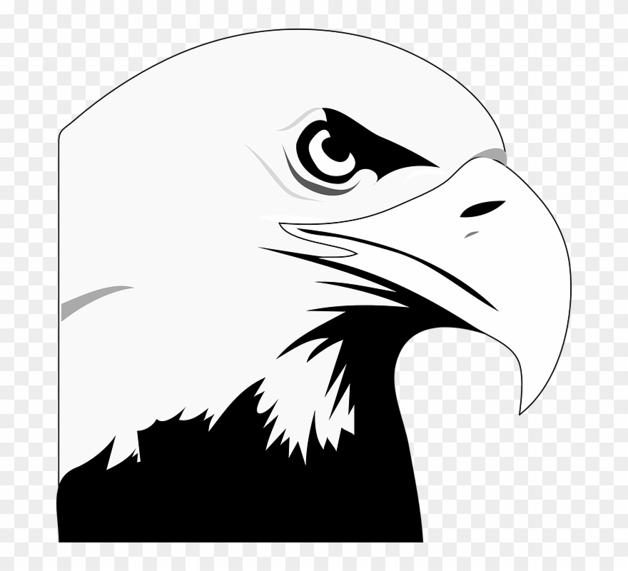 eagles clipart animated