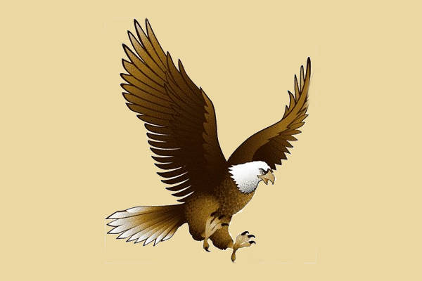 eagles clipart artistic