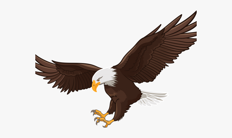 eagles clipart artwork