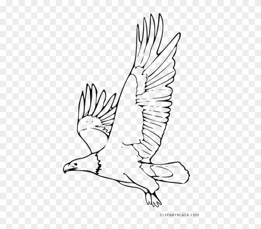 Image stock black and. Eagles clipart aztec eagle