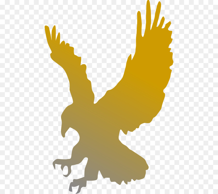 eagles clipart bird african