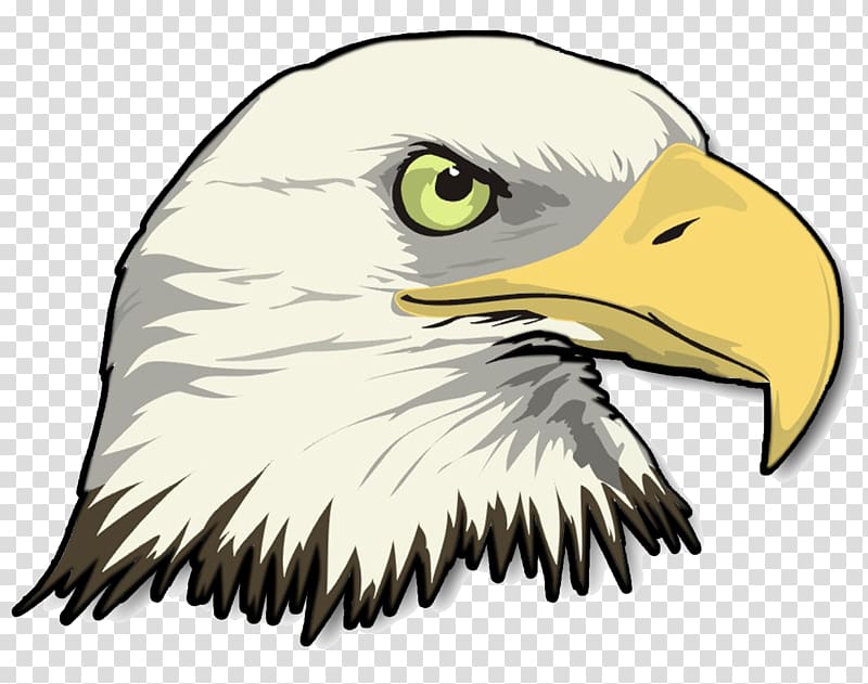 eagles clipart drawing