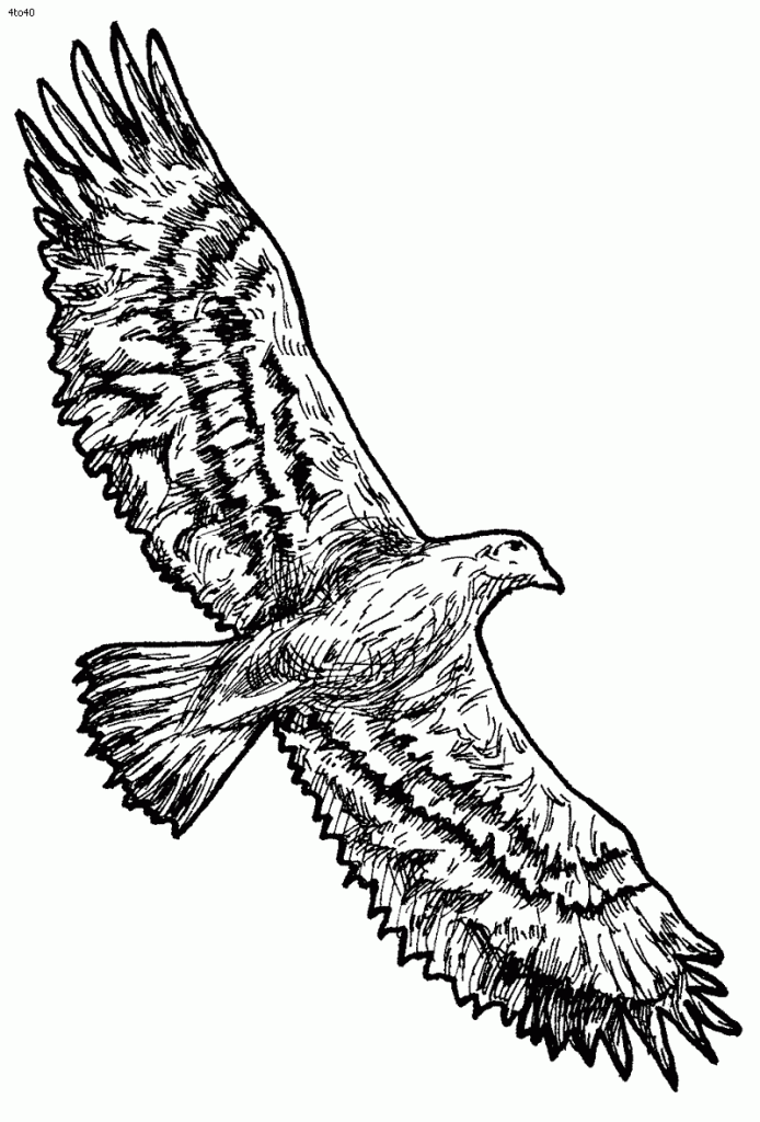 Eagles clipart eagle totem pole. Free cartoon flying download