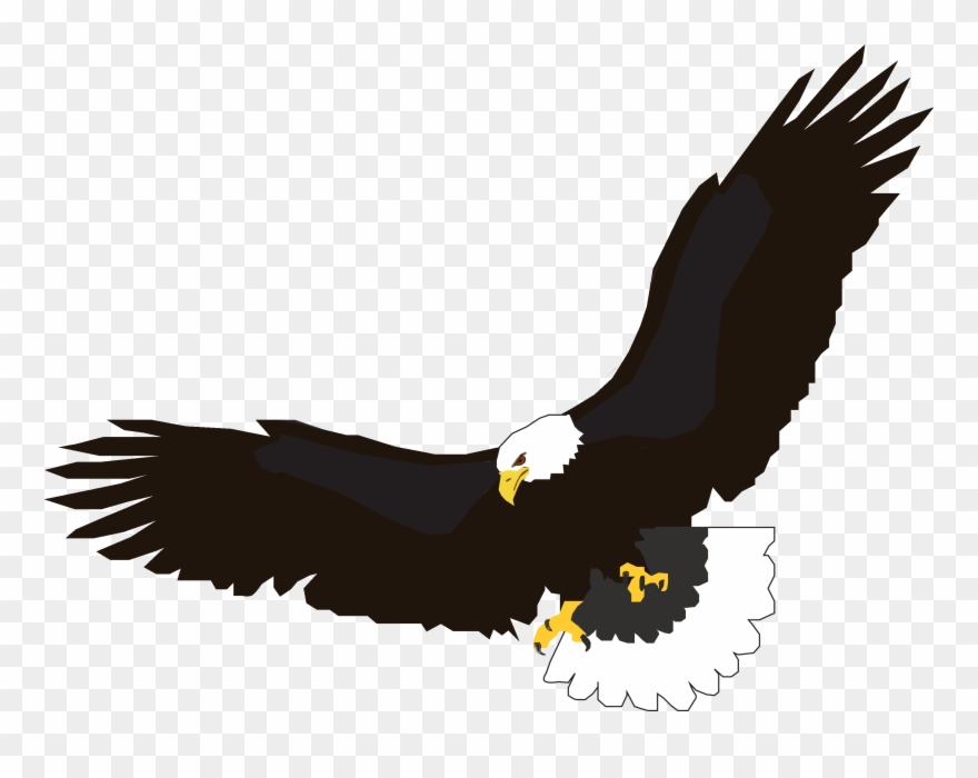 Eagles clipart eagle usa. Free graphics image 