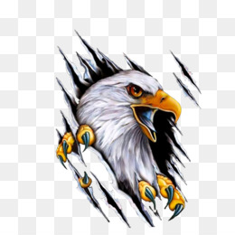 eagles clipart happy eagle