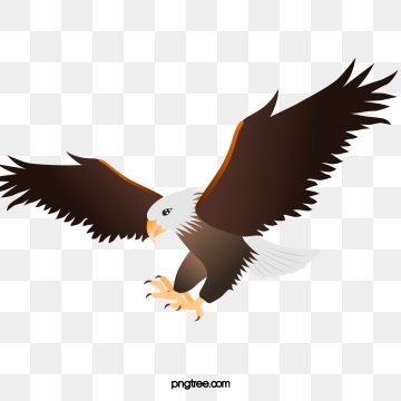 eagles clipart high resolution