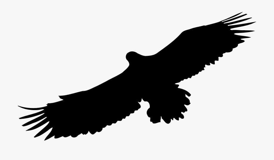 eagles clipart icon