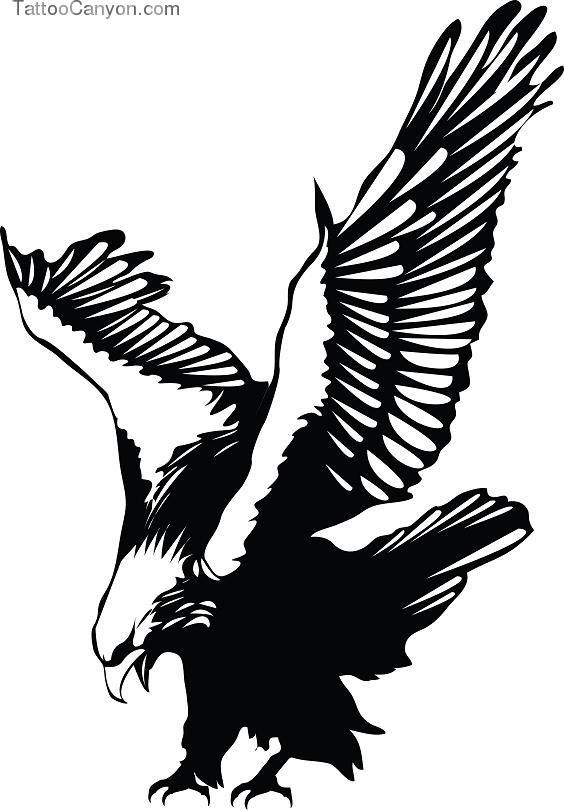 Drawing free download best. Eagles clipart landing eagle
