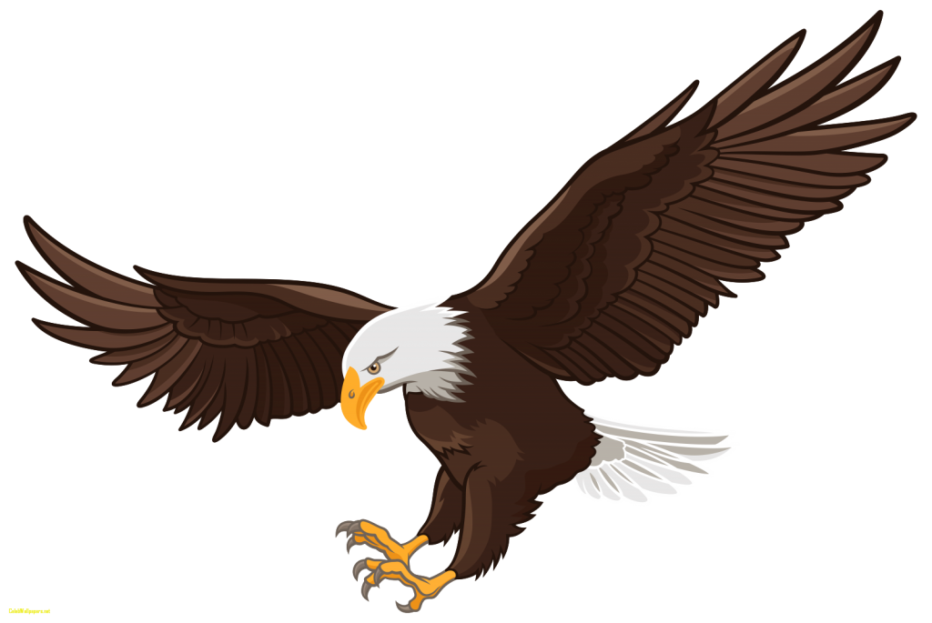 eagles clipart life cycle