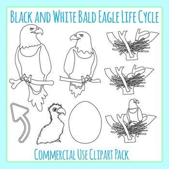 Eagles clipart life cycle. Bald eagle in black