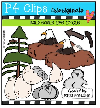 eagles clipart life cycle