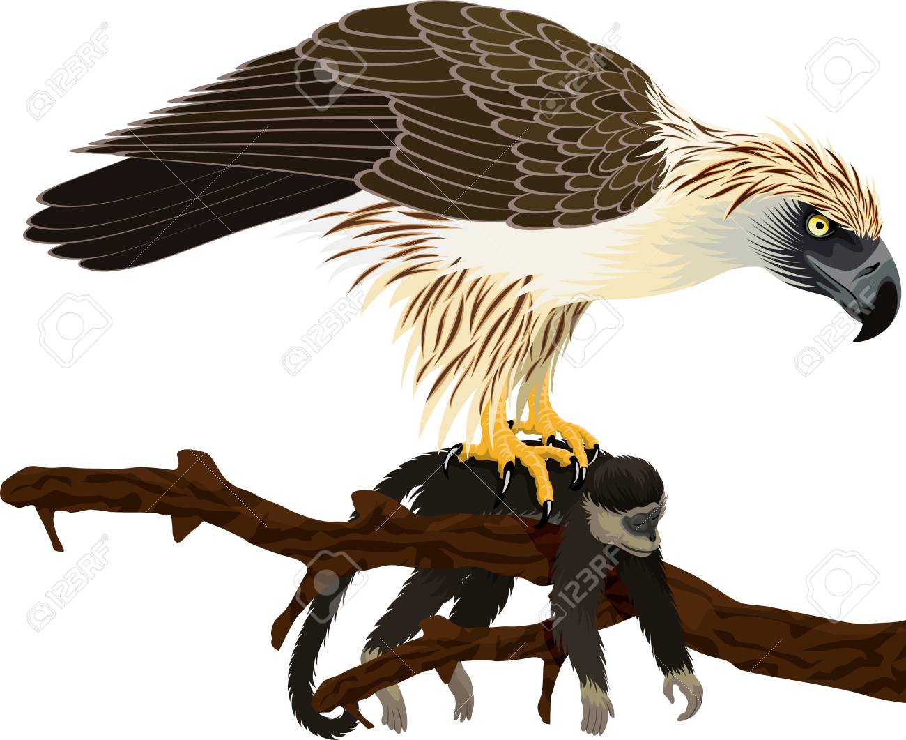 eagles clipart monkey eating eagle