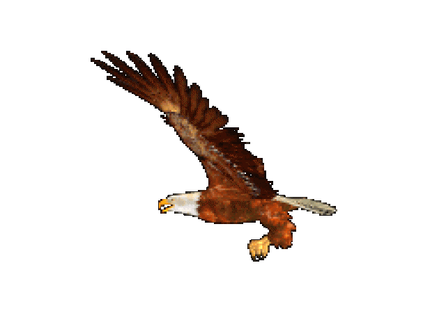 eagles clipart moving