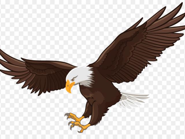 eagles clipart pagemaker