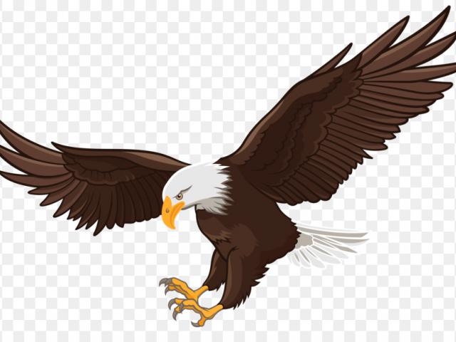Eagles clipart pagemaker. Free white tailed eagle