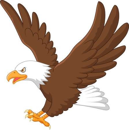 Free phillipine eagle head. Eagles clipart pagemaker