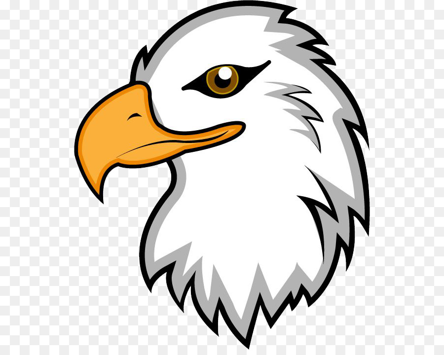 Free phillipine eagle head. Eagles clipart pagemaker