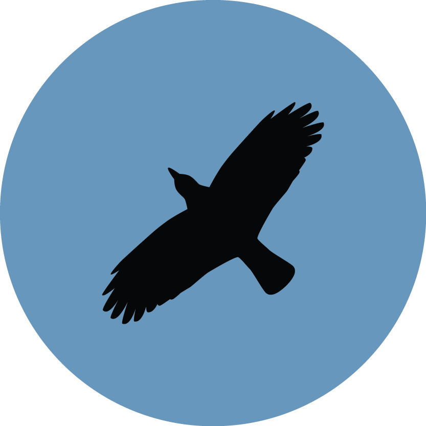 eagles clipart ravenclaw