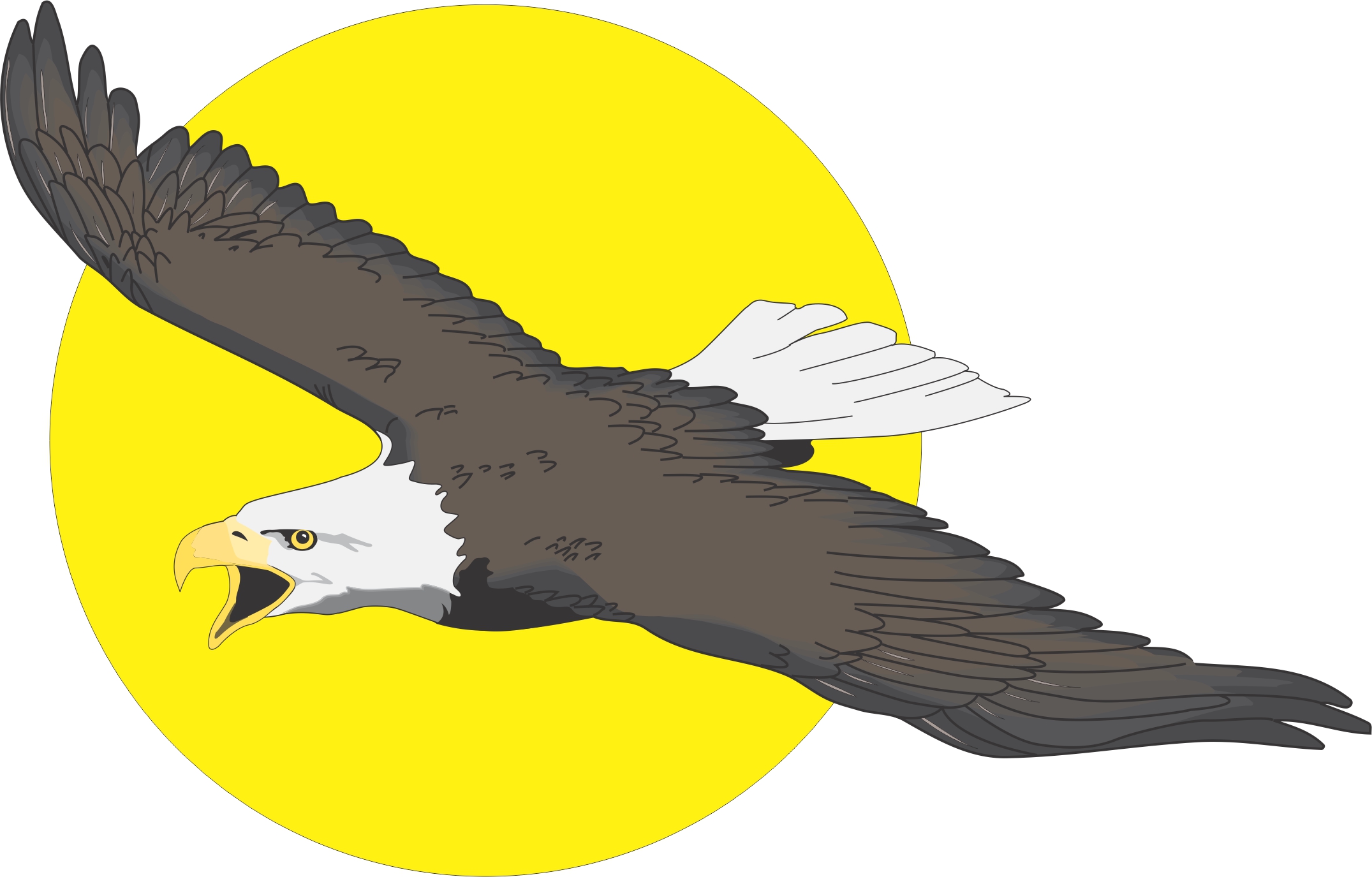 Free eagle flying cliparts. Eagles clipart realistic cartoon