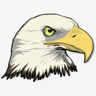 Bald eagle picsart angry. Eagles clipart realistic cartoon