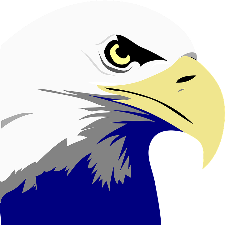 Eagles us eagle