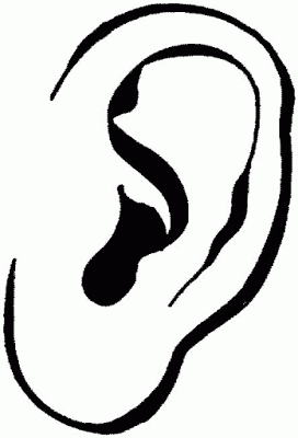 clipart ear ear drawing