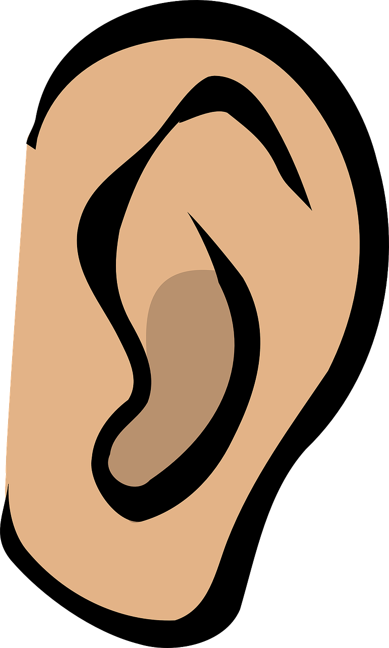 ear clipart child ear