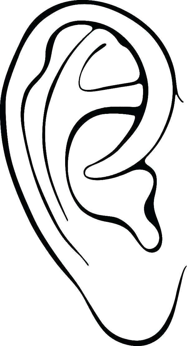 ear clipart colouring page