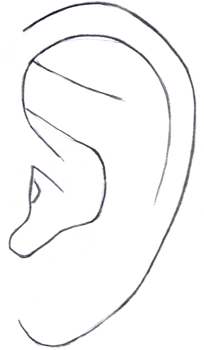 Ear clipart ear drawing. Free image of the
