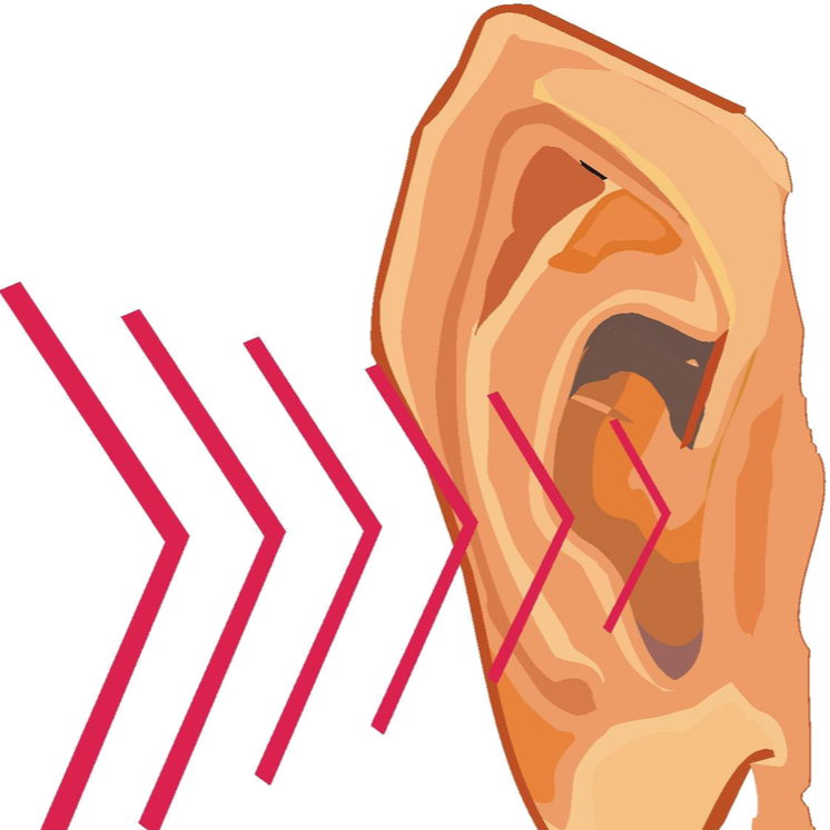 ear clipart ear sound
