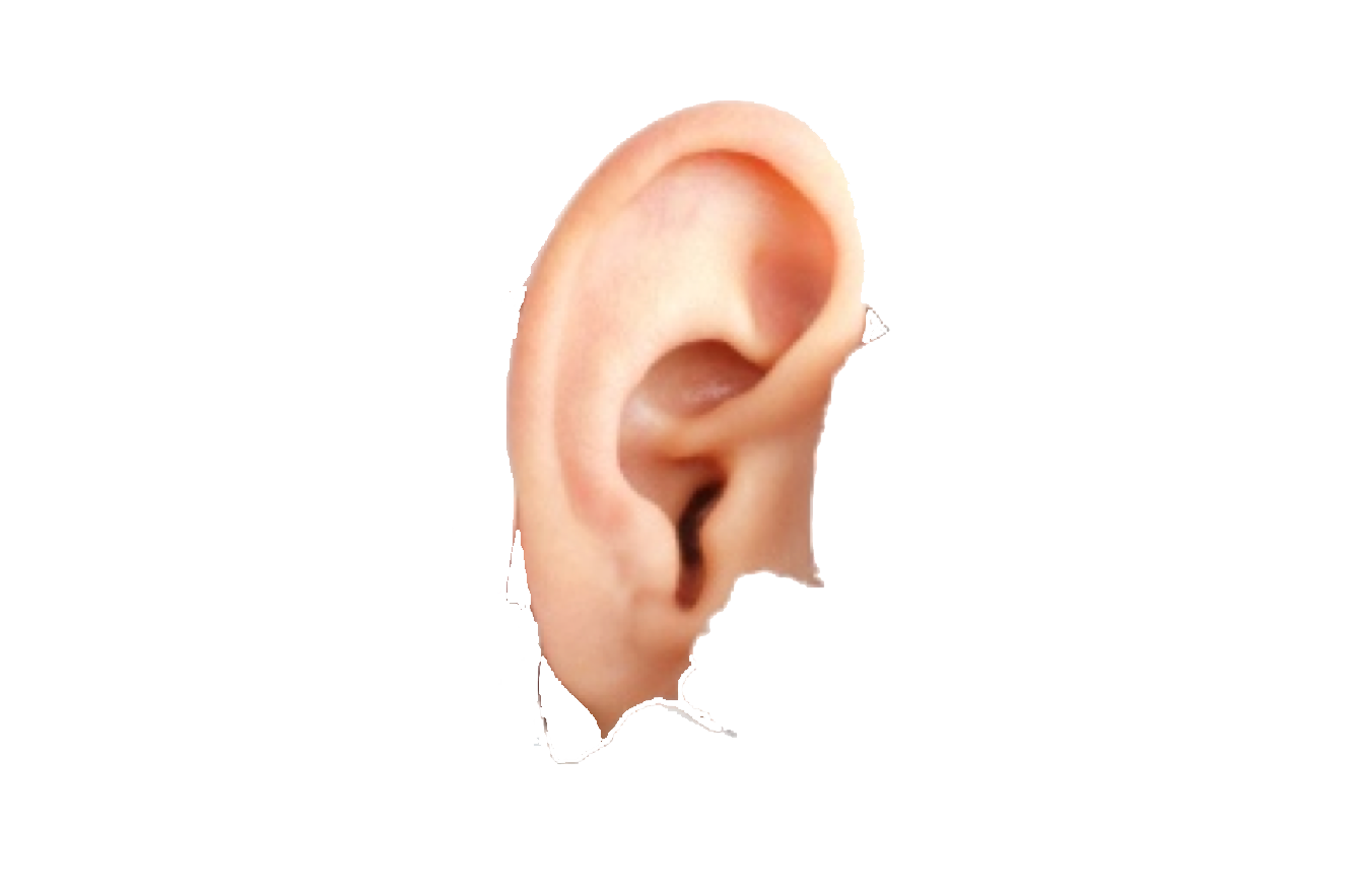 ear clipart ear wax