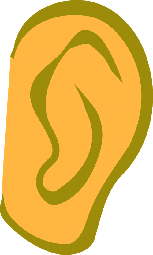 Free photos search download. Ear clipart ear wax