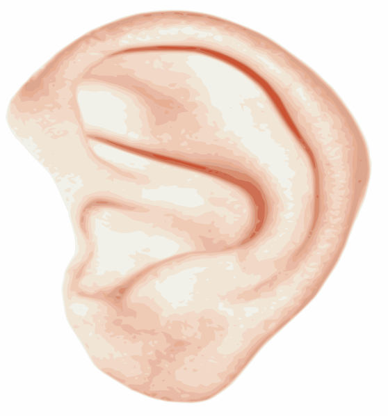 ear clipart giant