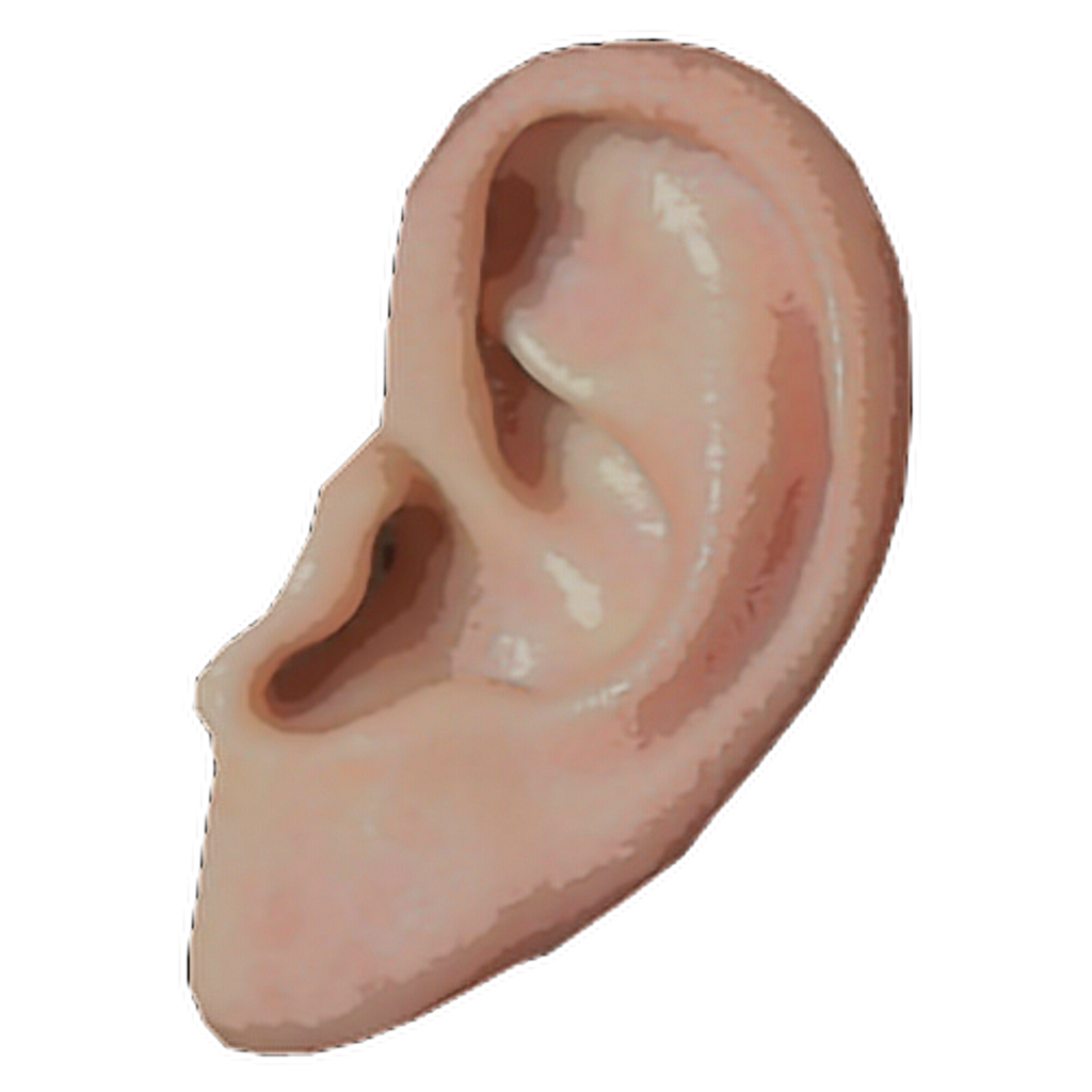 nose clipart human ear
