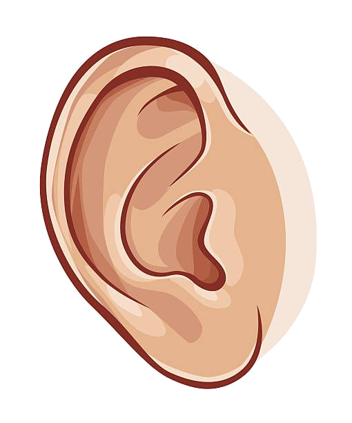 ear clipart logo
