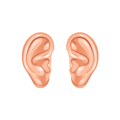 ear clipart small ear