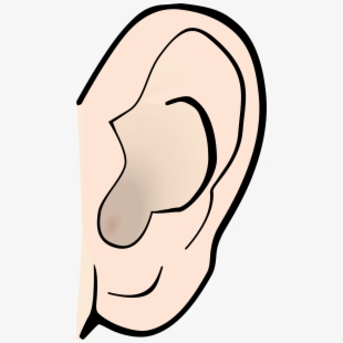 ear clipart small ear
