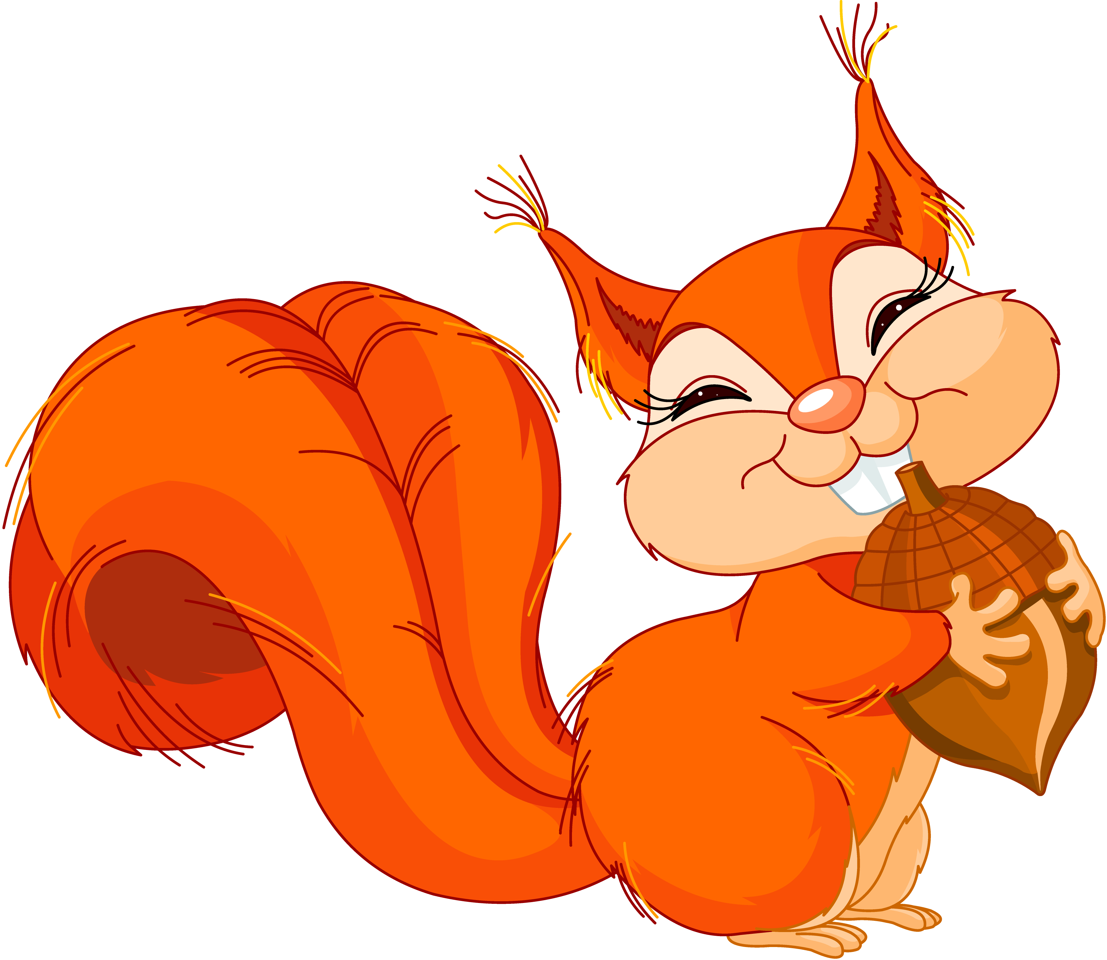 ear clipart squirrel