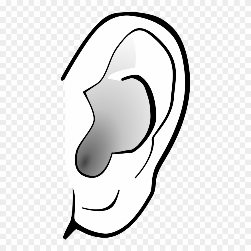 Ear clipart transparent background. Free images 