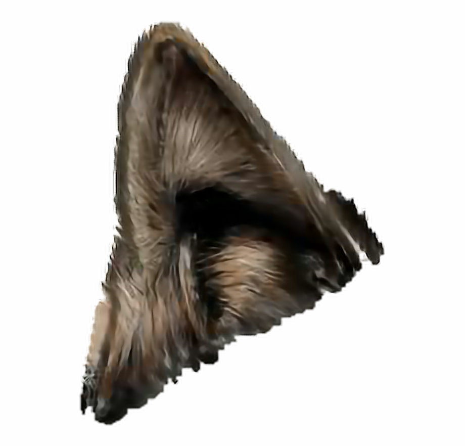 Wolf png transparent free. Ears clipart werewolf