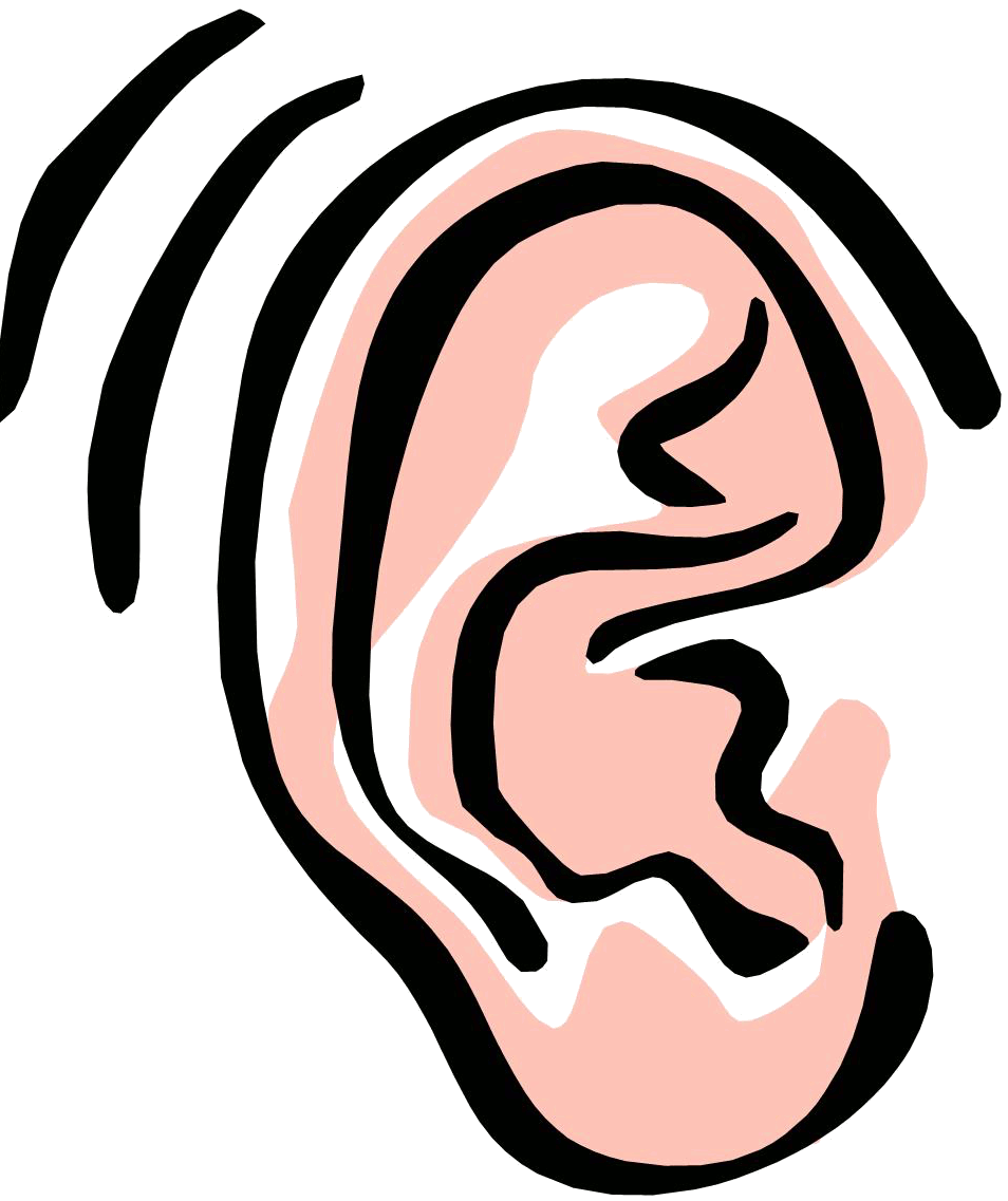 Hearing clipart. Ear clip art free