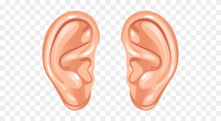 clipart ear human ear