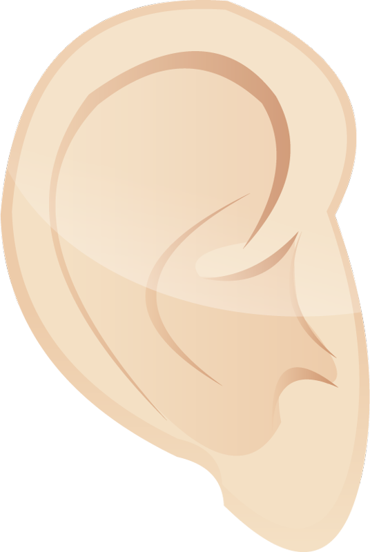 ears clipart auditory learner