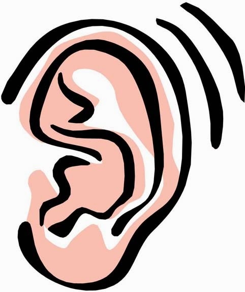 ears clipart child ear