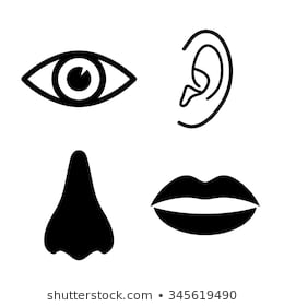 ears clipart eye